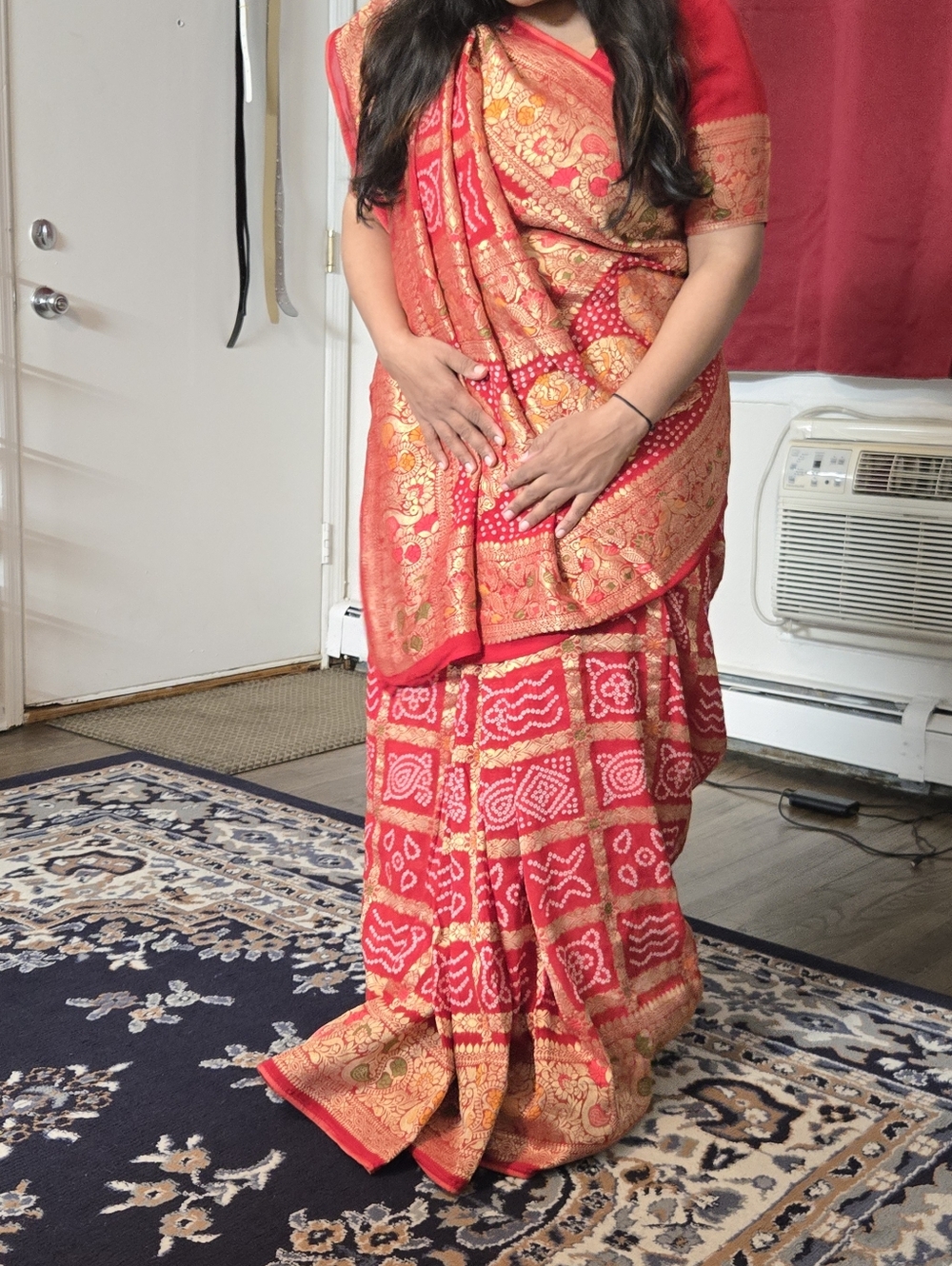 Red and Gold Traditional Indian Sari